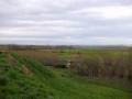 Castroane